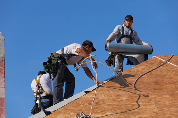 Best Best Roofing Contractors  in Ortonville, MI