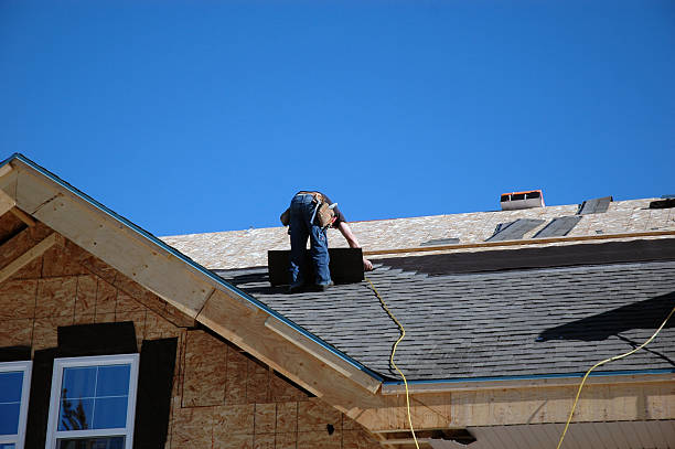 Best Roof Gutter Cleaning  in Ortonville, MI
