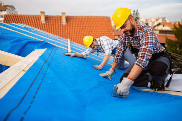 Best Roof Restoration Services  in Ortonville, MI