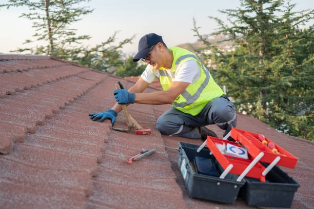 Best Best Roofing Contractors  in Ortonville, MI