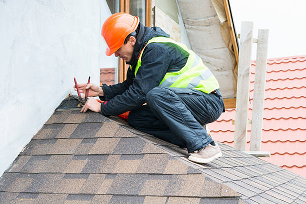 Best Sealant for Roof  in Ortonville, MI